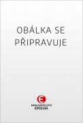 Kasovní krvák (Kladivo na čaroděje 6)
